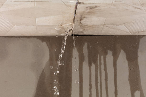 Professional Water Extraction technician working in Thornton, PA